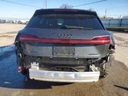 
										2022 Audi E-tron full									