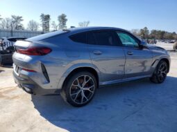 
										2026 BMW X6 full									