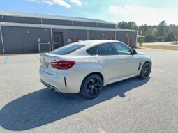 
										2017 BMW X6 full									