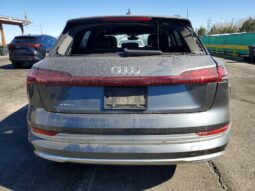 
										2019 Audi E-tron full									
