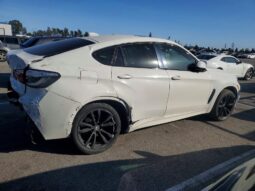 
										2019 BMW X6 full									