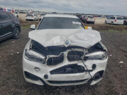
										2018 BMW X6 full									