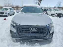 
										2019 Audi Q8 full									
