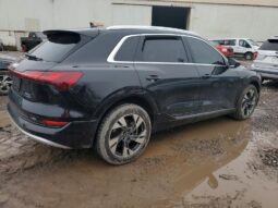 
										2022 Audi E-tron full									