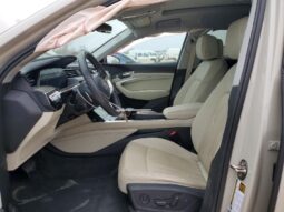 
										2021 Audi E-tron full									