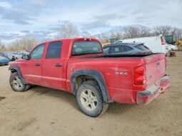 
										2011 Dodge Dakota full									