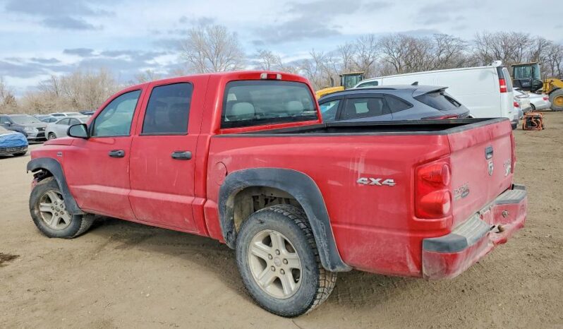 
								2011 Dodge Dakota full									