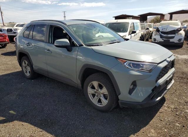 
								2019 Toyota Rav4 full									