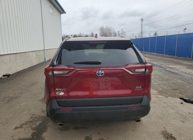
								2024 Toyota Rav4 full									
