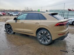 
										2025 Audi Q8 full									