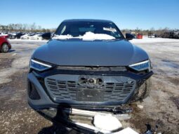 
										2024 Audi Q8 full									