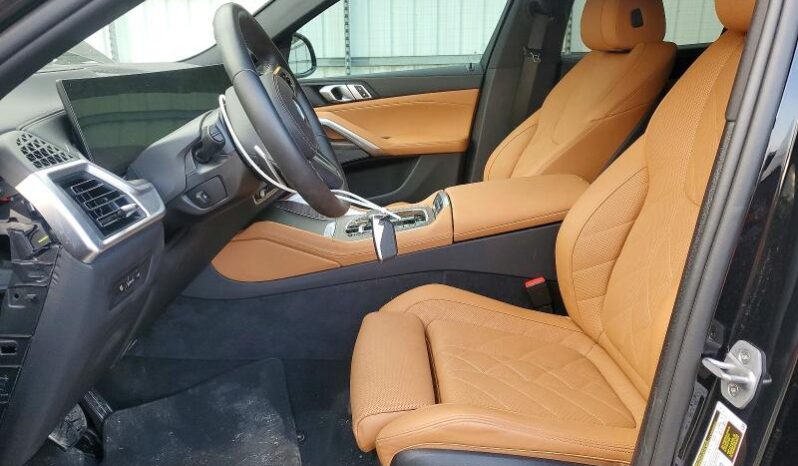 
								2025 BMW X6 full									