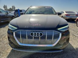 
										2019 Audi E-tron full									