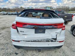 
										2019 Audi Q8 full									
