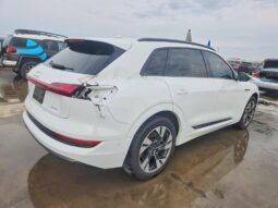 
										2021 Audi E-tron full									