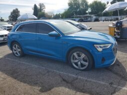 
										2019 Audi E-tron full									