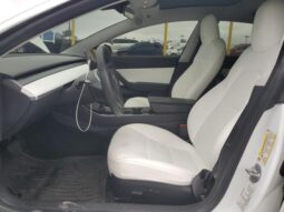 
										2019 Tesla Model 3 full									