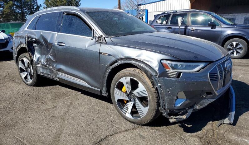 
								2019 Audi E-tron full									
