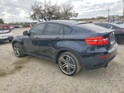 
										2013 BMW X6 full									