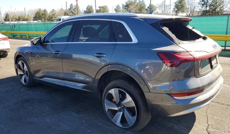 
								2019 Audi E-tron full									