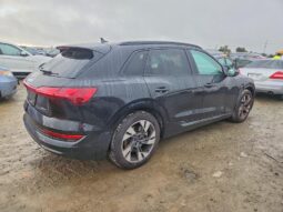 
										2021 Audi E-tron full									