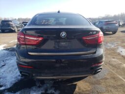 
										2019 BMW X6 full									