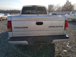 
										2003 Dodge Dakota full									