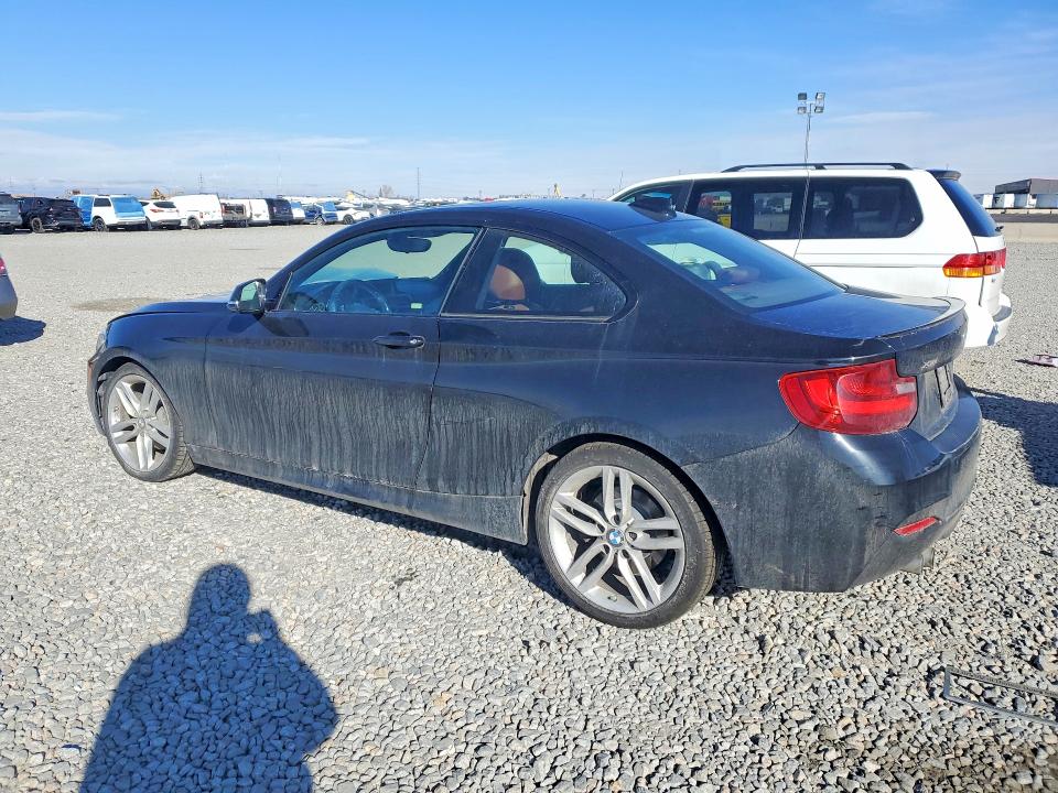 2015 BMW 2 series