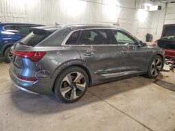 
										2019 Audi E-tron full									