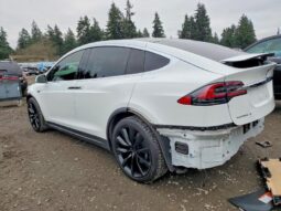 
										2016 Tesla Model x full									
