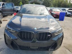 
										2024 BMW X6 full									