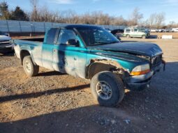 
										1998 Dodge Dakota full									
