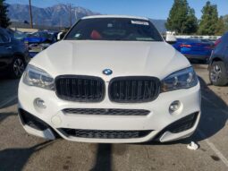 
										2019 BMW X6 full									