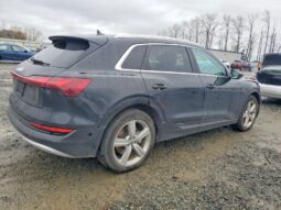 
										2019 Audi E-tron full									