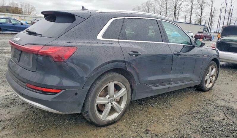 
								2019 Audi E-tron full									
