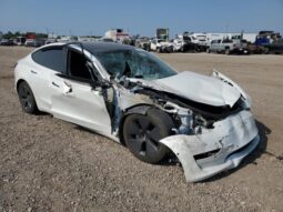 
										2021 Tesla Model 3 full									