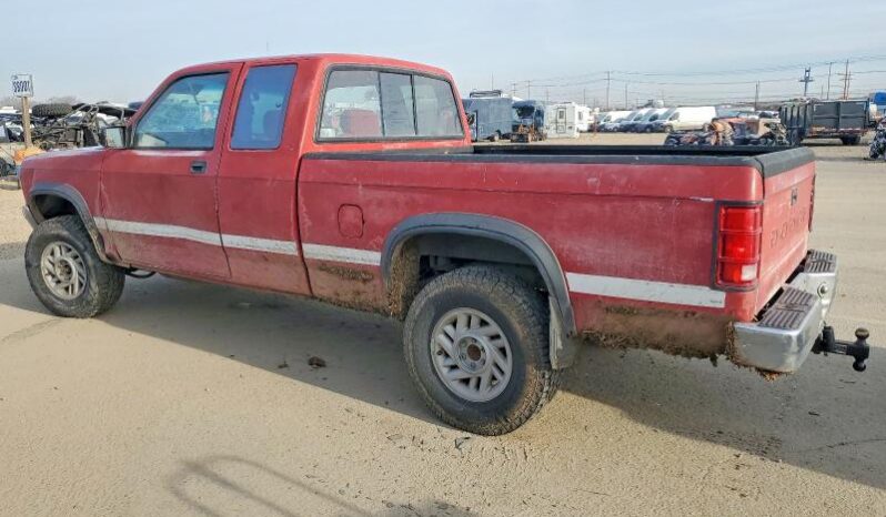 
								1992 Dodge Dakota full									