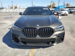 
										2022 BMW X6 full									