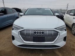 
										2022 Audi E-tron full									