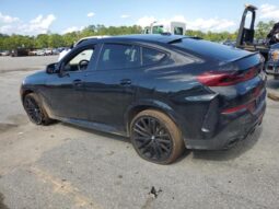 
										2024 BMW X6 full									