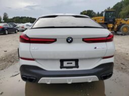 
										2024 BMW X6 full									