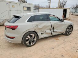 
										2021 Audi E-tron full									