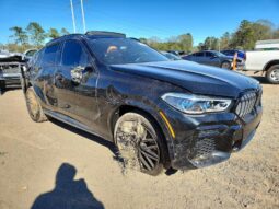
										2022 BMW X6 full									