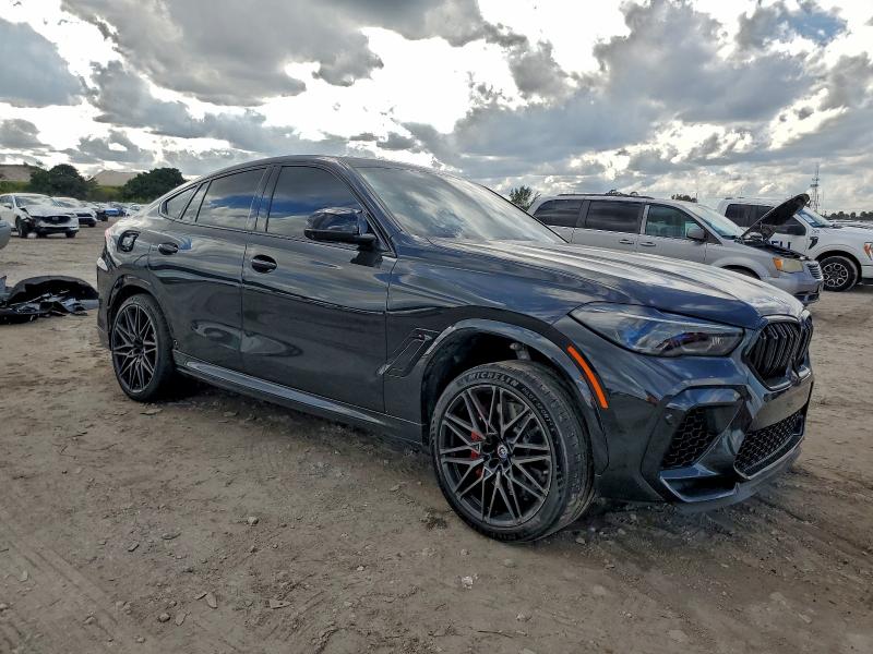 2023 BMW X6
