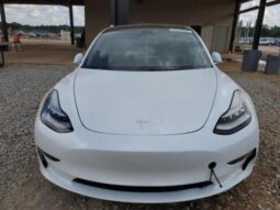 
										2019 Tesla Model 3 full									