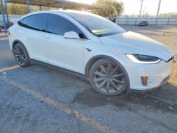 
										2019 Tesla Model x full									