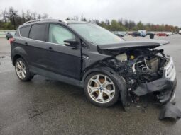 
										2019 Ford Escape tit full									