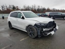 
										2019 BMW X7 full									