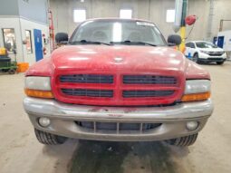 
										1998 Dodge Dakota full									
