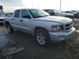 
										2008 Dodge Dakota full									